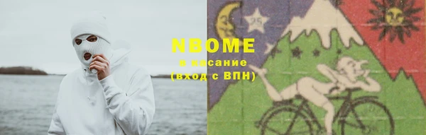 СК Бердск