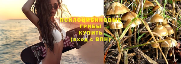 гашик Артём